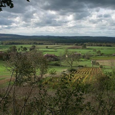 Вилла Le Coeur Du Lys Chissey-les-Macon Экстерьер фото