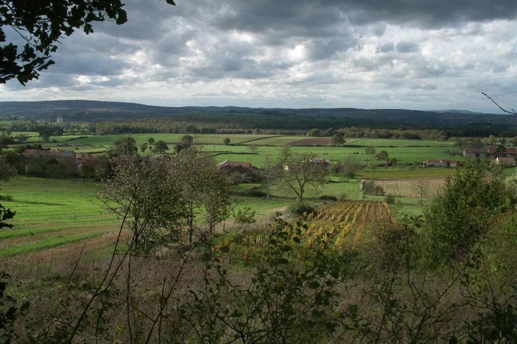 Вилла Le Coeur Du Lys Chissey-les-Macon Экстерьер фото