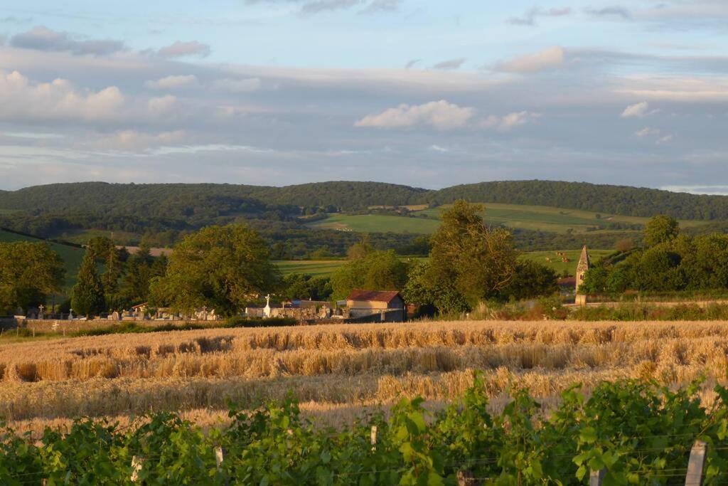 Вилла Le Coeur Du Lys Chissey-les-Macon Экстерьер фото